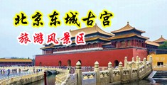 美少妇小穴中国北京-东城古宫旅游风景区